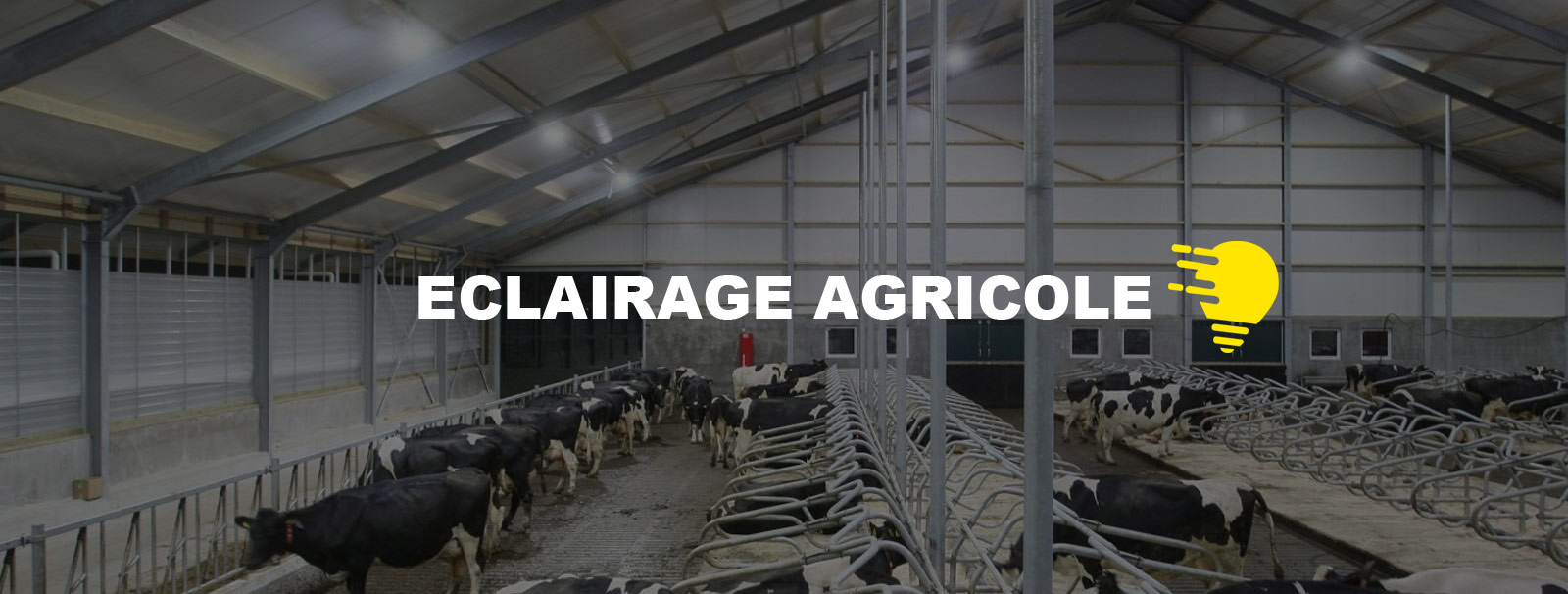 Eclairage LED Agricole