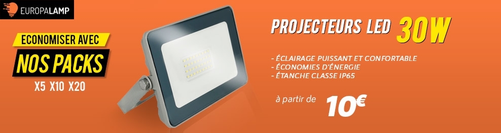 Projecteur LED 30W