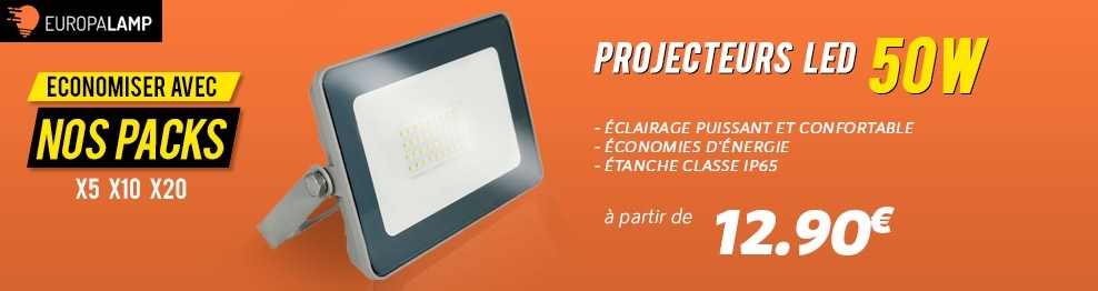 Projecteur LED 50W